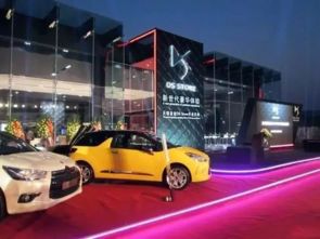 跨国车企决战淘汰赛 中国汽车市场鏖战正酣